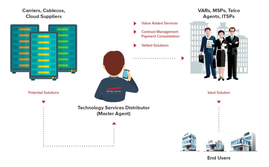 The Technology Service Distributor ecosystem.